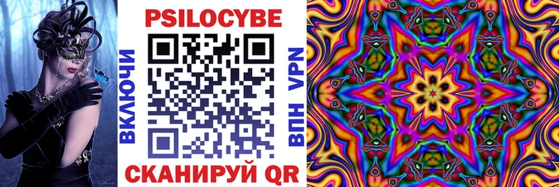 Псилоцибиновые грибы Psilocybe  купить наркоту  Бугуруслан 